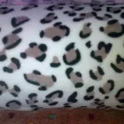 Business 2 image ABIES DRESS FABRICS Tulle in Vereeniging GP