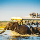 Business 5 image AFRICAN BUDGET SAFARIS Southern Africa travel deals in Cape Town WC