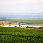 Business 2 image AFRICAN REALTY TRUST (PTY) LTD Fruit Packers And Distributors in Tzaneen LP