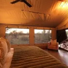 Maatskappy 7 beeld AFRICAN SAFARI GURU & AIRPORT TRANSFER SERVICE Zambia Safari in Johannesburg GP