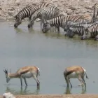 Business 4 image AFRIKAYA LEISURE TRAVEL Travel in Durban KZN