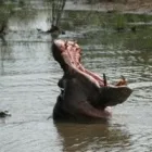 Business 8 image AFRIKAYA LEISURE TRAVEL Travel in Durban KZN