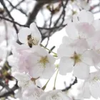 Business 1 image ALFREEDEE (PTY) LTD Walling in Johannesburg GP