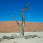 Maatskappy 2 beeld ANGEEZ TRAVEL Visa Assistance and Foreign Exchange Advice in Cape Town WC