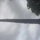 Maatskappy 6 beeld ANOPAM GUEST HOUSE Guest House in Pretoria GP