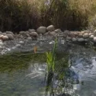 Maatskappy 4 beeld APPLE LANDSCAPE JHB Swimming Pools in Johannesburg GP