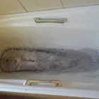 Maatskappy 2 beeld BATHGLAZE Tiles in Cape Town WC