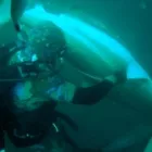 Maatskappy 1 beeld BELLANIQUE JEWELLERY Jewellery in Brakpan GP