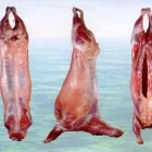 Business 1 image BILTONG & BRAAI WHOLESALERS Wholesalers in Cape Town WC