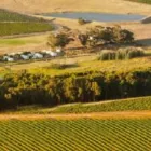 Business 1 image BLOEMENDAL WINE ESTATE Wine Tasting in Durbanville WC