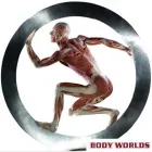 Business 1 image BODY WORLDS & THE CYCLE OF LIFE Events in Midrand GP
