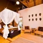 Maatskappy 7 beeld BOTSEBOTSE LUXURY RETREAT Zulu in Bela Bela LP