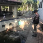 Business 1 image BROWN LEAVES LANDSCAPERS PTY LTD Garden and Pool Maintenance Services in Randburg GP