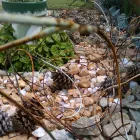 Business 7 image BT HOME STUDIOS Landscaping And Design in Johannesburg GP