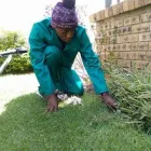 Business 8 image BT HOME STUDIOS Landscaping And Design in Johannesburg GP