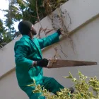 Business 9 image BT HOME STUDIOS Landscaping And Design in Johannesburg GP