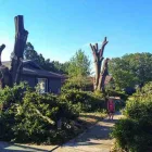 Business 4 image BUDGETTREEFELLERS Tree Felling in Port Elizabeth EC