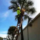 Business 6 image BUDGETTREEFELLERS Tree Felling in Port Elizabeth EC