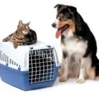 Business 3 image BUSYBEE REMOVALS Removals in Johannesburg GP