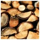 Business 1 image CAPE TOWN TREE FELLING Tree Surgery in Cape Town WC