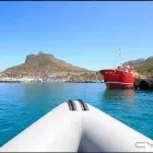 Business 3 image CAPTAIN JACKS Whale Watching in Cape Town WC