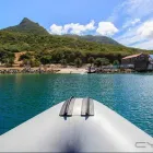 Business 4 image CAPTAIN JACKS Whale Watching in Cape Town WC