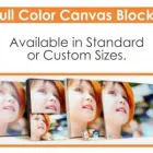 Business 16 image CASTLE OF DESIGN Window Signage in Klerksdorp NW