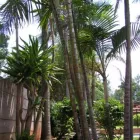 Maatskappy 1 beeld CHRISTIE'S INN Tropical Gardens in Tzaneen LP