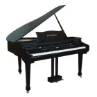Business 5 image CLAVITECH MUSICAL DISTRIBUTORS Pianos in Pinetown KZN