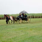 Business 7 image COLLISHEEN ESTATE Wedding Venue in Tongaat KZN