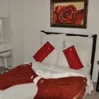 Business 4 image CRANE'S NEST GUEST HOUSE AT 211 Wireless Internet in Pretoria GP