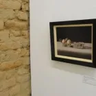 Business 1 image D-STREET GALLERY Gallery in Stellenbosch WC