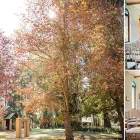 Maatskappy 3 beeld DEBBIE KELLY PHOTOGRAPHY Wedding Photography in East London EC