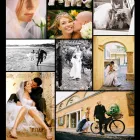 Business 7 image DIRK VISSER PHOTOGRAPHY Photographers - Commercial And Industrial in Grabouw WC