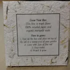 Business 3 image DUNG BEETLE PAPER Wedding Stationery in Vanderbijlpark GP