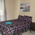 Maatskappy 4 beeld E & G ACCOMMODATION Unfurnished Accommodation Middelburg Mpumalanga in Middelburg MP