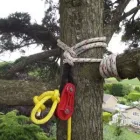Maatskappy 5 beeld ECHO TREE FELLING Tree Rigging in Durban KZN