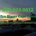 Maatskappy 6 beeld ECO SLAYER CAPE TOWN wasp control in Cape Town WC