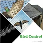 Maatskappy 7 beeld ECO SLAYER CAPE TOWN wasp control in Cape Town WC