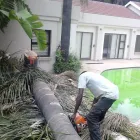 Maatskappy 2 beeld EGM TREE FELLING Trimmings in Benoni GP