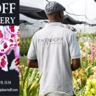 Business 1 image EIKENHOFF ORCHID NURSERY south africa orchid in Stanford WC