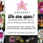 Business 4 image EIKENHOFF ORCHID NURSERY south africa orchid in Stanford WC