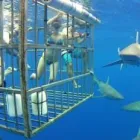 Maatskappy 2 beeld ELDREW B & B GUESTHOUSE Guest House in Mossel Bay WC