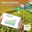 Business 6 image FIVE TULIPS Sustainability Reporting in Cape Town WC