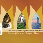 Business 7 image FIVE TULIPS Sustainability Reporting in Cape Town WC