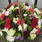 Business 3 image FLOWERS BY STEMS Wholesale Icecream in Edenvale GP