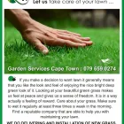 Maatskappy 1 beeld GARDEN SERVICES CAPE TOWN Tree Felling Cape Town in Cape Town WC