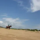 Maatskappy 8 beeld HORSEBACK BEACH ADVENTURES Riding in Durban KZN
