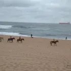 Maatskappy 13 beeld HORSEBACK BEACH ADVENTURES Riding in Durban KZN