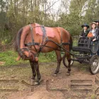 Maatskappy 16 beeld HORSEBACK BEACH ADVENTURES Riding in Durban KZN
